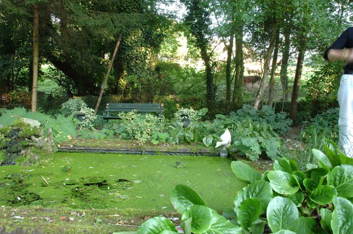 LeJardindeMmeDeville (16)